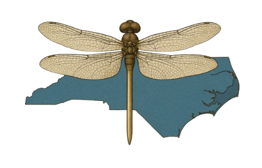 Acadia Association Management LLC